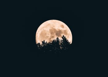 Gambar Artikel Serat Badar Lunar