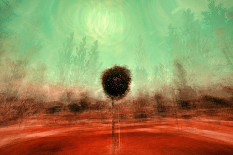 Kiriman Nasib dari Seseorang