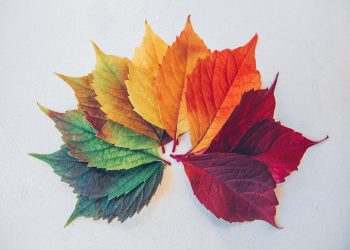 Rindu Bersaung di Senaru