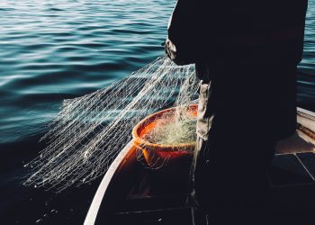 Penjaring Ikan di Laut