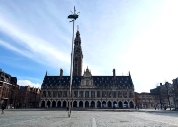 Totem Kumbang: Karya Seni Jan Fabre yang Mengherankan di Leuven